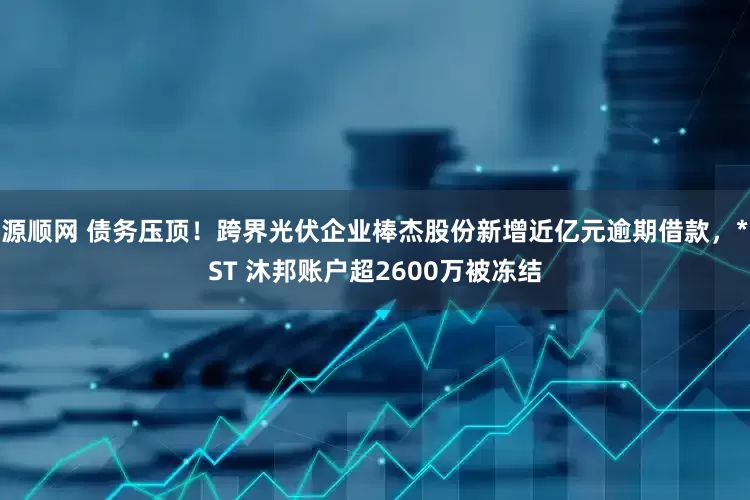 源顺网 债务压顶！跨界光伏企业棒杰股份新增近亿元逾期借款，*ST 沐邦账户超2600万被冻结
