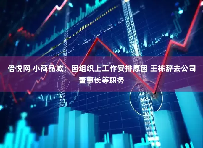 倍悦网 小商品城：因组织上工作安排原因 王栋辞去公司董事长等职务