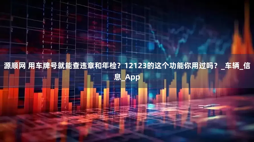 源顺网 用车牌号就能查违章和年检？12123的这个功能你用过吗？_车辆_信息_App