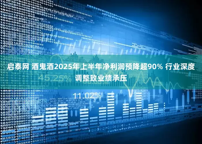 启泰网 酒鬼酒2025年上半年净利润预降超90% 行业深度调整致业绩承压