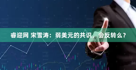 睿迎网 宋雪涛：弱美元的共识，会反转么？
