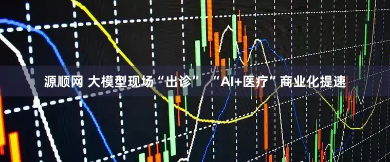 源顺网 大模型现场“出诊”  “AI+医疗”商业化提速
